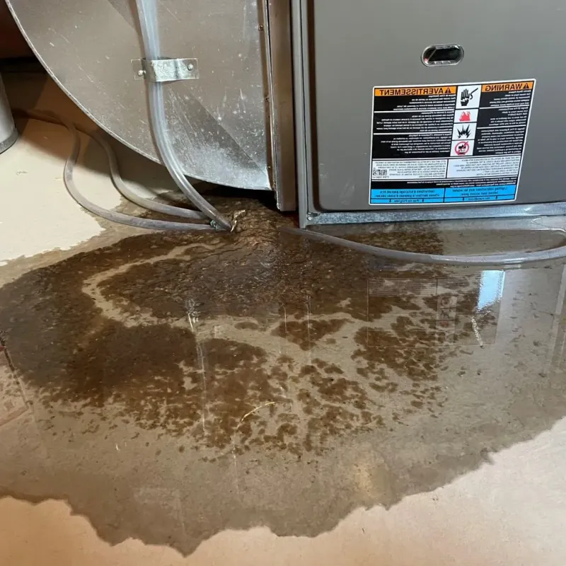 Pipe Burst and Leak Restoration in Algona, IA
